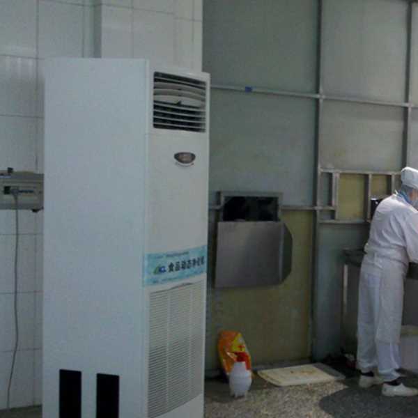 大兴安岭食品正负离子空气杀菌器